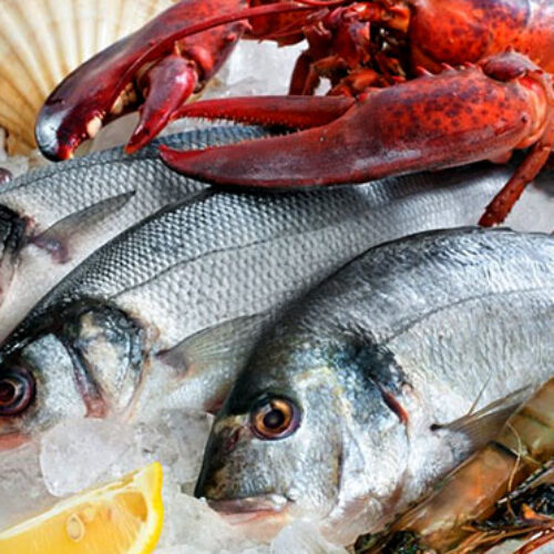 https://bestowinggroup.com/wp-content/uploads/2021/06/fish-seafood-500x500.jpg
